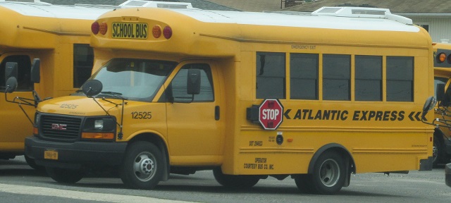Type B School Bus