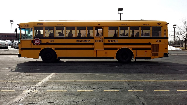 Type D School Bus