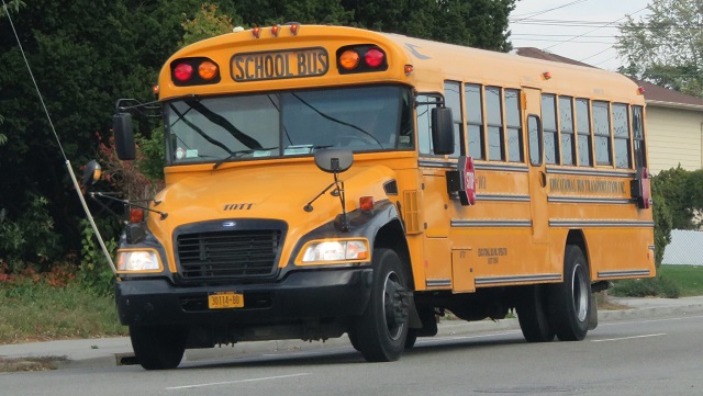 Type C School Bus