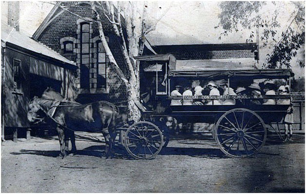 From Horse-Drawn Carriages to Motorized Buses