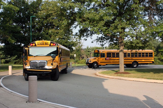 school bus transportation