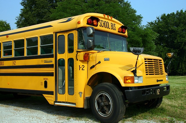 school transportation bus